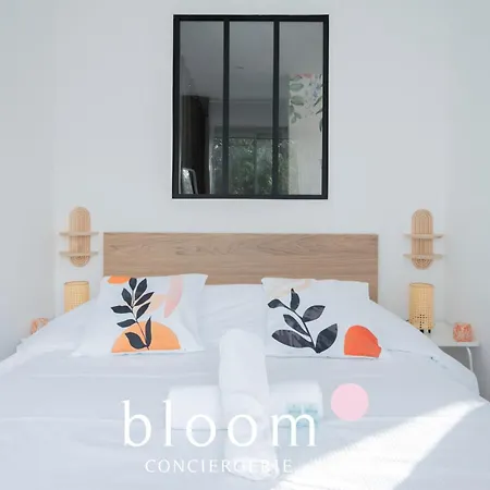 Le Magnifique Lafayette Equipe *