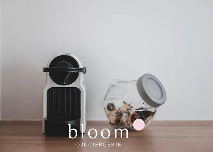 Le Magnifique Lafayette Equipe *